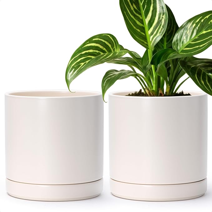 D'vine Dev Set of 2 Plants Pots, 8.2 Inch Ceramic Planter Pot for Plants with Drainage Hole and Saucer, Oatmeal, 94-V-D-8 - Bloomnest