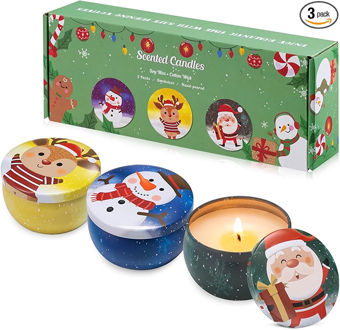 Hausware 3 Pack Scented Candles, 2.5 oz Aromatherapy Candles,Soy Candles Set with 72H Burning Time,Christmas Candles,Christmas Gift for Women (Apple Cinnamon+Cedar+Vanilla Cake) - Bloomnest