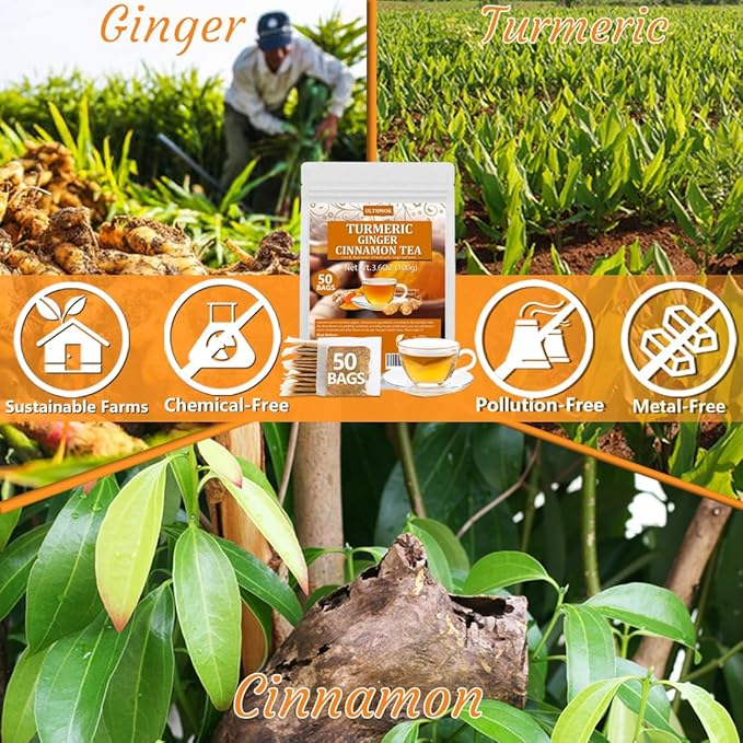 50 Premium Turmeric, Ginger, Cinnamon Blend Tea Bags, 100% Natural & No Additives & Caffeine Free. - Bloomnest