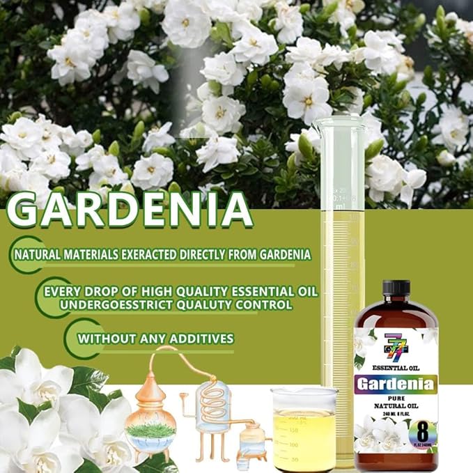 Gardenia Essential Oil (8 oz / 240 ml) – Gardenia Oils for diffusers, humidifiers, Home Baths, Cleaning Products, Yoga, DIY Soaps and DIY Scented Candles GV77ZFESSENTIALOILBUYNOW