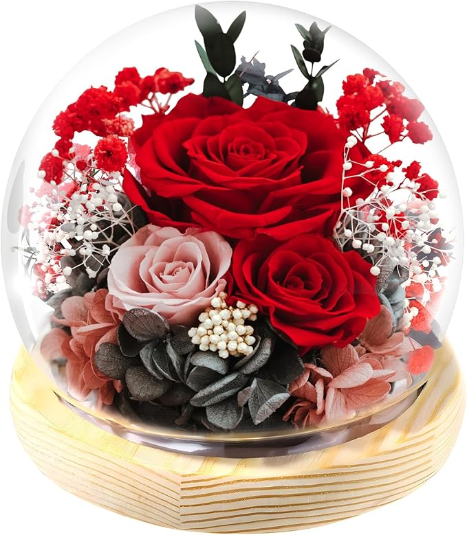 FIACO Valentines Day Gifts for Her Preserved Rose Forever Fresh Flowers for Delivery Birthday Gift for Women Mom Grandma Wife Mothers Day Anniversary Eternal Roses in Glass Dome - Bloomnest