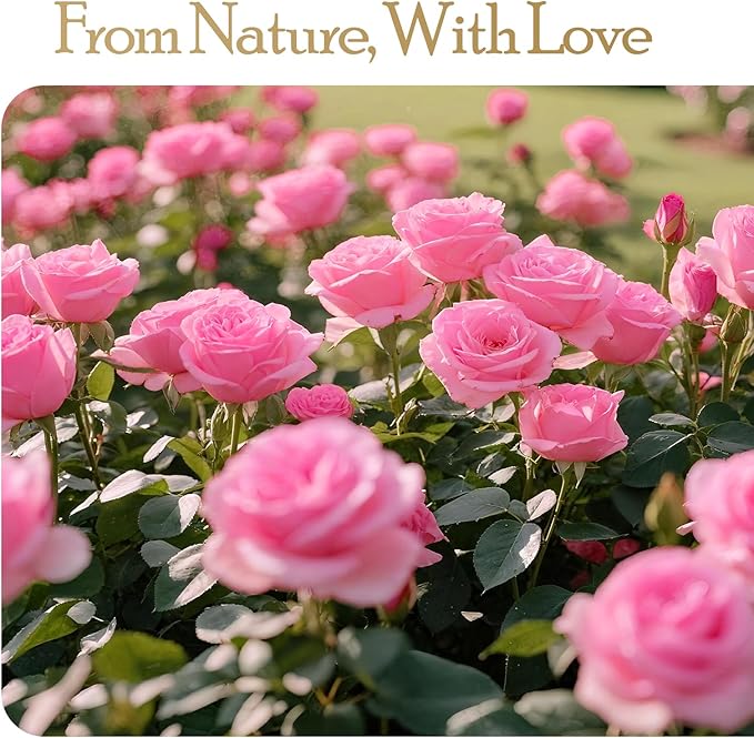16 Preserved Flowers Rose Birthday Gifts for Women Her Mom Wife Girlfriend Grandma on Valentines Mothers Day Christmas Anniversary Romantic(Pink) - Bloomnest