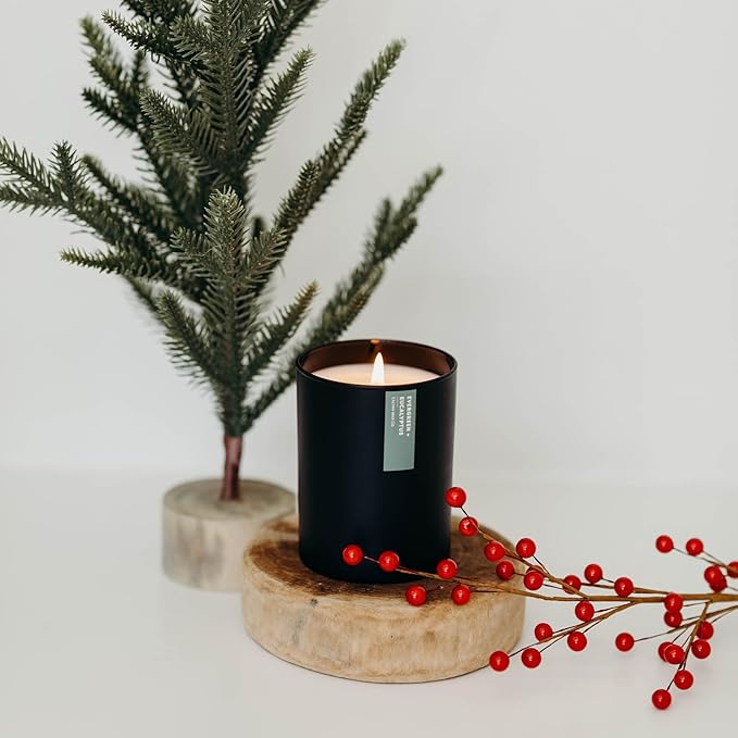 Calyan Wax Co. Evergreen & Eucalyptus Scented Candle - 75 Hour Burn - Luxury Non Toxic Soy Wax Candles - Long Lasting Black Tumbler Jar Candle for Home - 10.2oz - Bloomnest