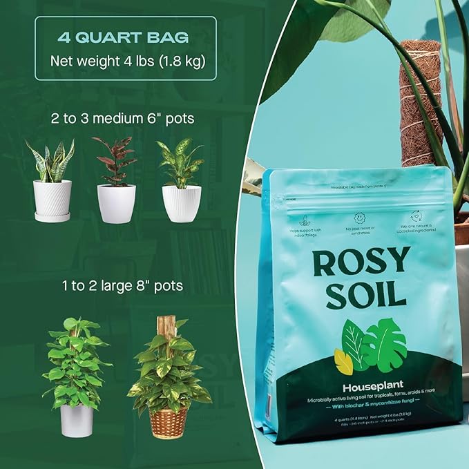 Rosy Soil Indoor Potting Soil for House Plants - Organic Potting Soil Mix for Indoor Plants - Enriched w/Root-Boosting Biochar for Foliage Plants, Flowers, Herbs - Peat Free, Less Prone to Gnats - 4qt - Bloomnest