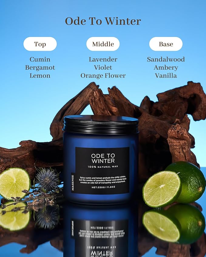 M&SENSE Ode to Winter 11.6oz Natural Soy Wax Non Toxic Candle, Up to 70 Hours Burn Time Winter Scents, 2 Cotton Wick Jar Candle Home Scented Gift - Bloomnest