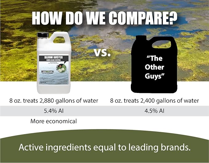 Bloom Buster Pond Algae Control - 64oz - Fast Acting Algaecide, Use in Fountains & Outdoor Ponds Containing Koi & Other Fish - EPA Registered - Bloomnest