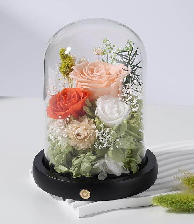 FIACO Preserved Flowers Rose Gifts for Women, Birthday Gifts Eternal Rose in Glass Dome Long-Lasting Real Forever Flowers Gifts for Mom Grandma Wife Girlfriend - Bloomnest