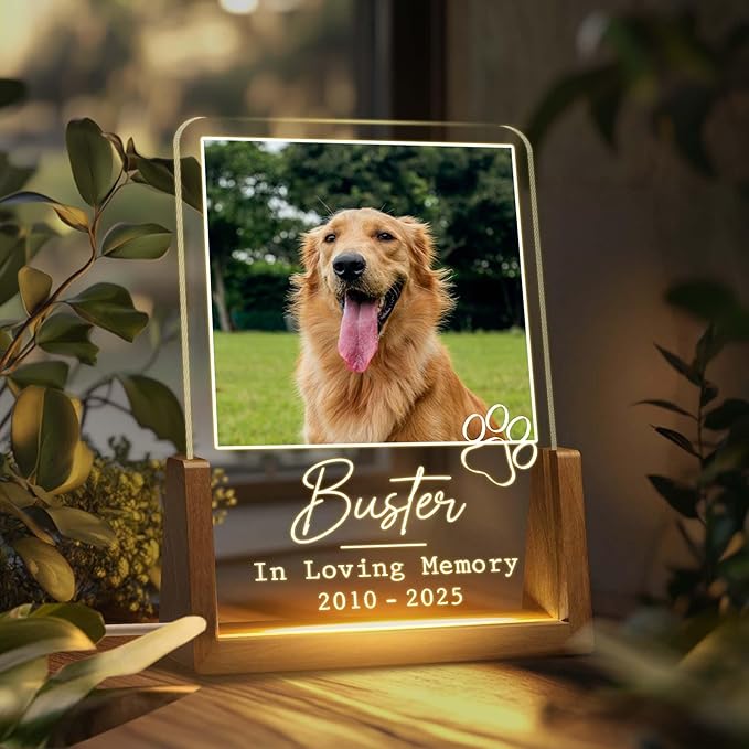 Personalized Pet Memorial LED Night Light, Custom Dog & Cat Photo Plaque, Pet Lover Keepsake, Animal Memorial Frame, Sympathy Gift for Pet Loss, Gifts for Dog and Cat Owners Table Decor - Bloomnest