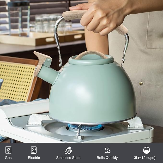 3.2 Quart Whistling Tea Kettle for Stove Top Stainless Steel Tea Pots With Wood Pattern Anti-slip Handle, Green… - Bloomnest