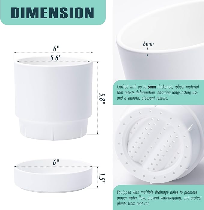 6 Inch Modern Plastic Round Pots for Indoor Houseplants and Herbs, Pack of 3 Planter Pot with Drainage Hole & Saucer, Deep Water Catch Tray, Straight Cylindrical Pot for Plants, Matte White, 23-D-S-1 - Bloomnest