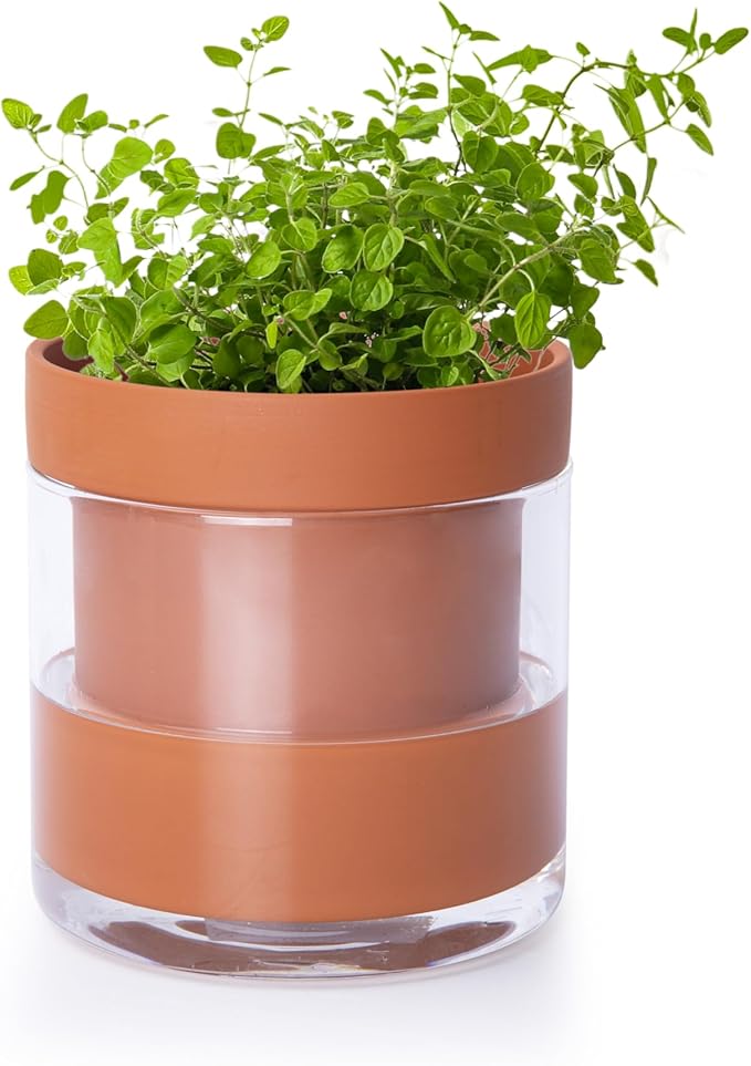 Phoenix Vine 4 Inch Self Watering Planter Pot, Terracotta Clay Pot with Glass Reservoir for Indoor Plants, Herbs, Flowers, Set of 1, 52-A-E-1 - Bloomnest