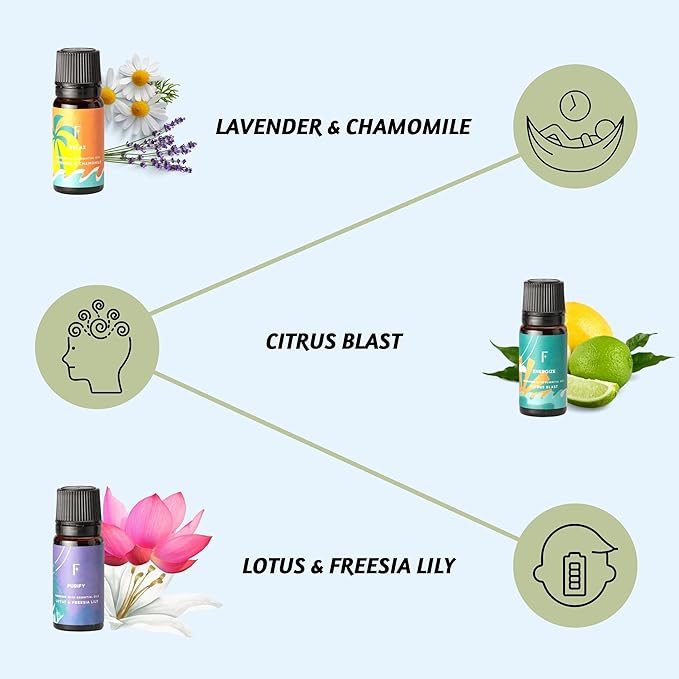 Folkulture Essential Oils for Diffuser Oil | Essential Oil Set of 6 Fragrance Oils | Diffuser Oils Scents for Home | Oil Diffusers Essential Oils Gifts for Relaxation - Lavender & Sandalwood - Bloomnest