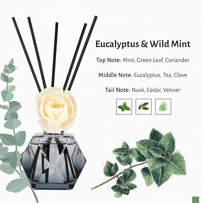 Brakula Reed Diffuser Set, 6.09 fl oz (180 ml)-Eucalyptus & Wild Mint with 8 Reed Sticks, Home Fragrance Reed Diffuser for Bathroom Shelf Decor