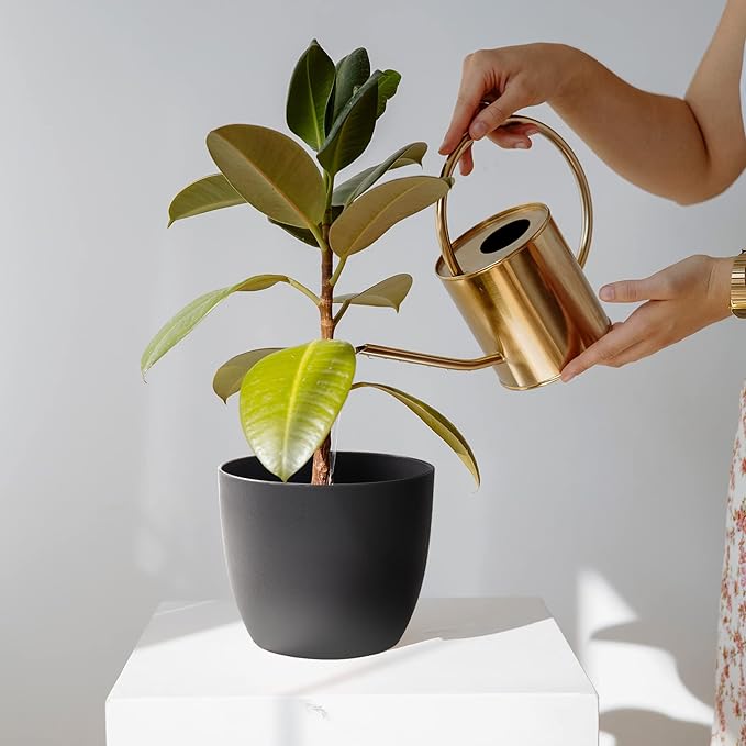T4U 6 Inch Self Watering Planters Plastic Plant Pot, Modern Decorative Flower Pot/Window Box for All House Plants, Flowers, Herbs, African Violets, Succulents - Black, Set of 6 - Bloomnest