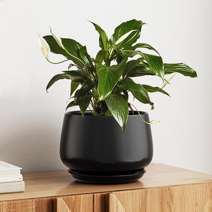 LE TAUCI Ceramic Planter, 10 Inch Plant Pot with Drainage Hole & Saucer – Durable Indoor Planter for Modern Home Decor, Black - Bloomnest
