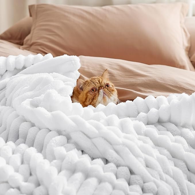 Bedsure GentleSoft Bright White Throw Blanket for Couch - Cozy Soft Blankets for Women, Cute Small Throws for Girls, 50x60 Inches - Bloomnest