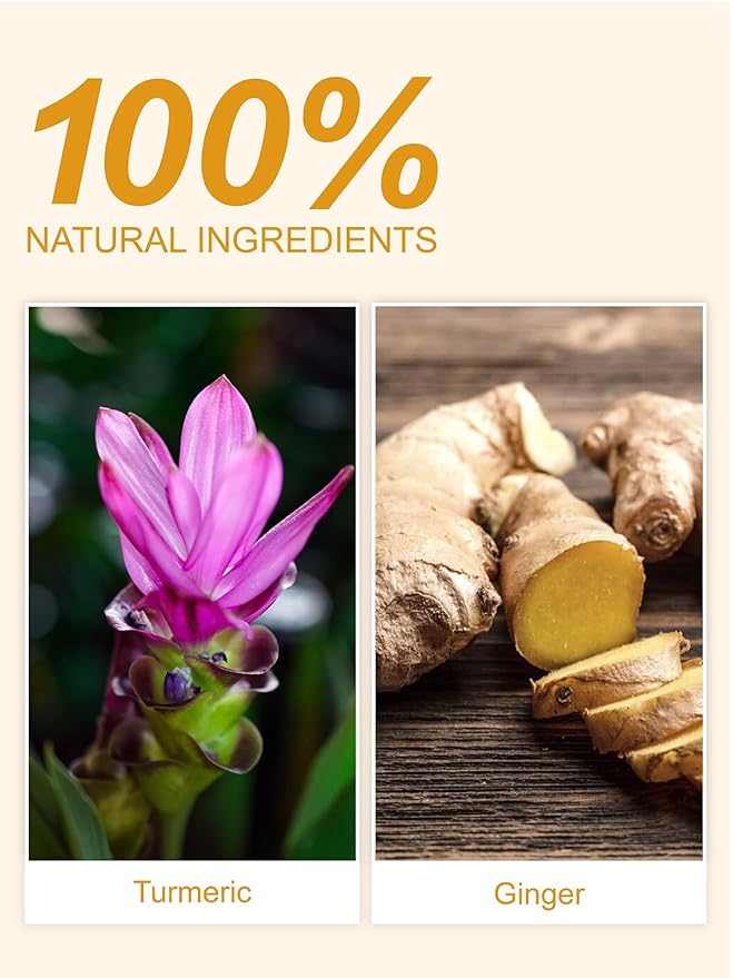TeeLux Turmeric Ginger Tea Bags, Pure Natural Turmeric Ginger Herbal Tea, Spicy & Smooth Flavor, Caffeine Free, 100 Count - Bloomnest