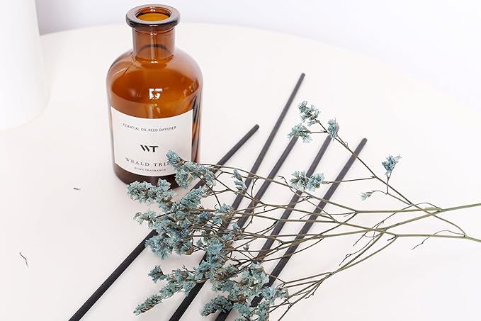 WEALD TRIBE Reed Diffuser Set for Bathroom Decor, Sticks Diffuser with Essential Oils Included | Ocean Scent 4.0 fl oz Fragrance Oil | Defusers for Home Living Room Shelf Decor Apartment Essentials - Bloomnest