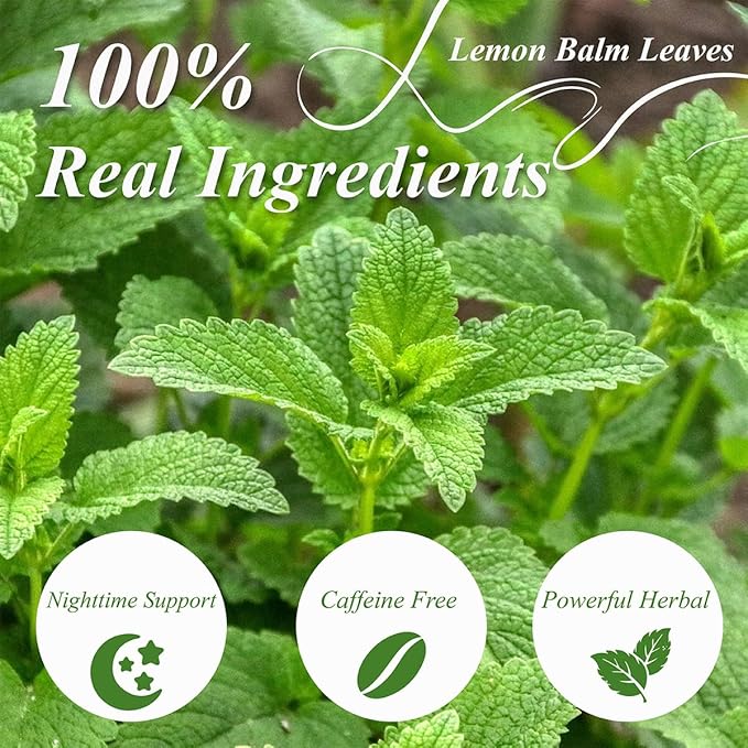 WT WEETEE Lemon Balm Tea Bags, 100 Count Pure Lemon Balm Leaves, Honey Scented with a Delicate Lemon Flavor, Caffeine-Free Herbal Tea - Bloomnest