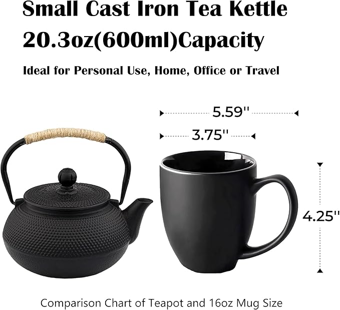 20.3oz Only, Small Tea Kettle for 1-2 Cups, Japanese Tetsubin, Cast Iron Teapot with Stainless Steel Infuser for Loose Leaf & Coffee, Tea Pot for Stovetop Safe, Enamel Interior(Black, 600ml) - Bloomnest