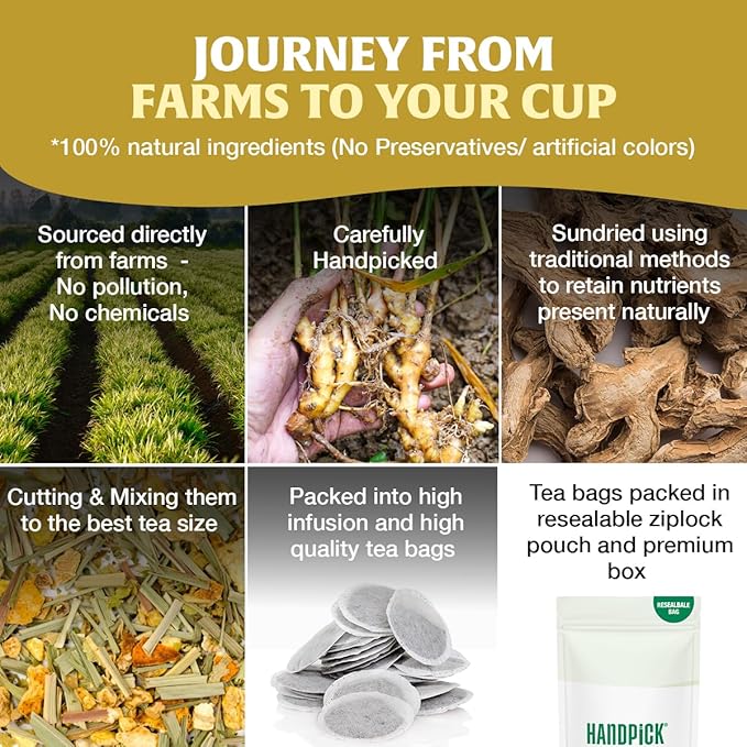 HANDPICK, Lemon Ginger Herbal Tea - 100 Pyramid Tea Bags | 100% Natural Ingredients, Tasty & Citrusy Hand-made Blend of Lemon & Ginger | Caffeine Free, Gluten Free | No Artificial Ingredients - Bloomnest