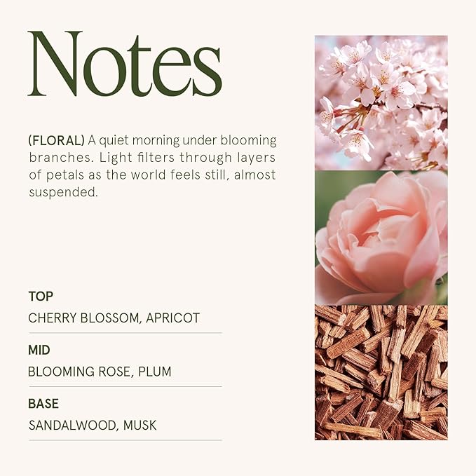 LA JOLIE MUSE Cherry Sakura Candle - Cherry Blossom, Rose, Sandalwood | 6 oz Natural Soy Wax | 40 Hours Clean Burn | Floral Scented Candle | Gift-Ready for Hosts & Gatherings - Bloomnest