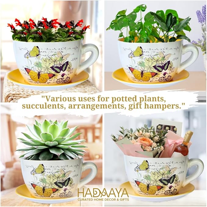 7.5” Round Ceramic Teacup Shape Planter Pot with Saucer for Succulents Orchid Herbs Cactus Indoor Houseplants Flowers for Home Garden and Event Decor Yellow Butterfly Garden - Bloomnest