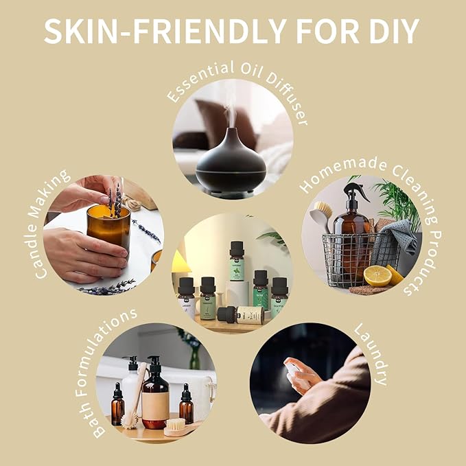 Essential Oils Set Top 6 Aromatherapy-Essential Oils for Diffuser for Home,Air Freshening Diffuser Oils Scents for Aromatherapy,Laundry,Candle&Soap Making,Humidifiers 6 X 10ML - Bloomnest