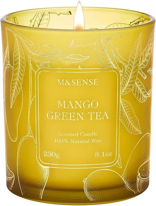 M&SENSE Tea Scented Candles, Vegan Soy Wax, Naturally Scented Mango Green Tea No Toxin 8.1oz Long Lasting 42-Hour Burn Time Relaxing, Aromatherapy, Meditation Candles for Home - Bloomnest