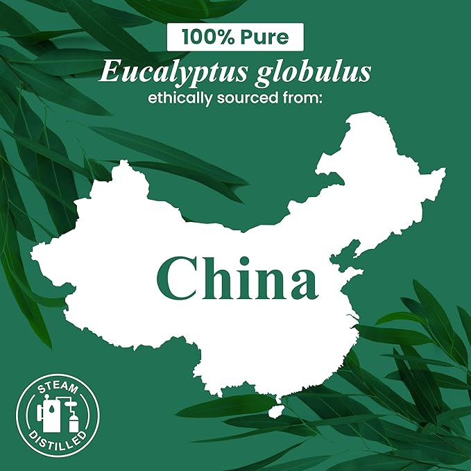 Handcraft Blends Eucalyptus Essential Oil – 1 Fl Oz – 100% Pure and Natural – Premium Grade Essential Oil for Diffuser and Aromatherapy, Skin, Massage, Candle and Soap Making Fragrance - Bloomnest