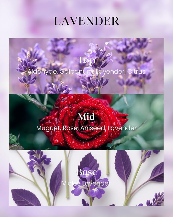 M&SENSE Lavender Candles,Vegan Soy,8.1oz 42-Hour Long Lasting Burning Time,Subtle Scented Candles for Relaxing Bathtub Aromatherapy Calming Sleep,Fancy Home Gifts for Women & Men - Bloomnest