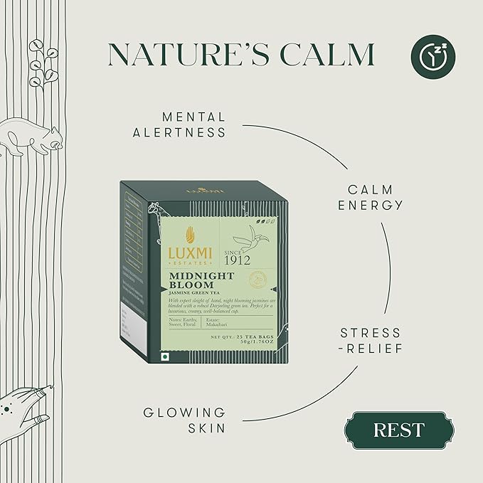 Luxmi Estates Midnight Bloom Organic Jasmine Tea (25 Tea Bags) Mildly Caffeinated Tea Bags For Relaxing, Calming, and Stress Relief, With Certified Organic Darjeeling Makaibari Green Tea - Bloomnest