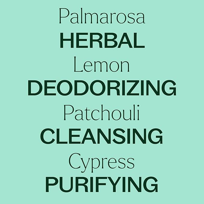 Plant Therapy Deodorizing Essential Oil Blend 30 mL (1 oz) 100% Pure, Undiluted, Therapeutic Grade PlantTherapy