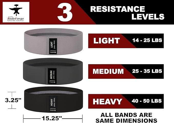 BodyForge Resistance Bands, Exercise Bands, Resistance Bands for Working Out, Work Out Bands with Handles for Men and Women Fitness, Strength Training Home Gym Equipment - Bloomnest