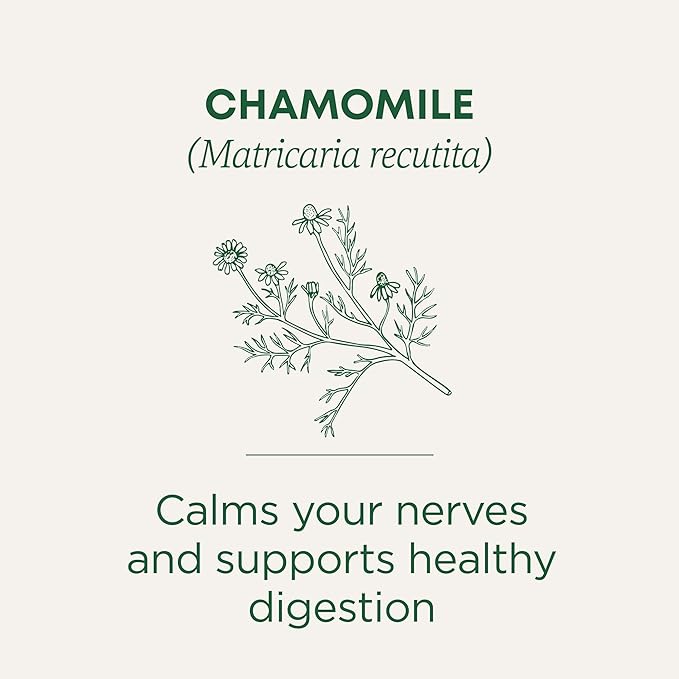 Traditional Medicinals Organic, Chamomile Tea - Supports Stress Relief and Relaxation - Kosher, Non-GMO, Caffeine-Free, Compostable - 16 Tea Bags - Bloomnest