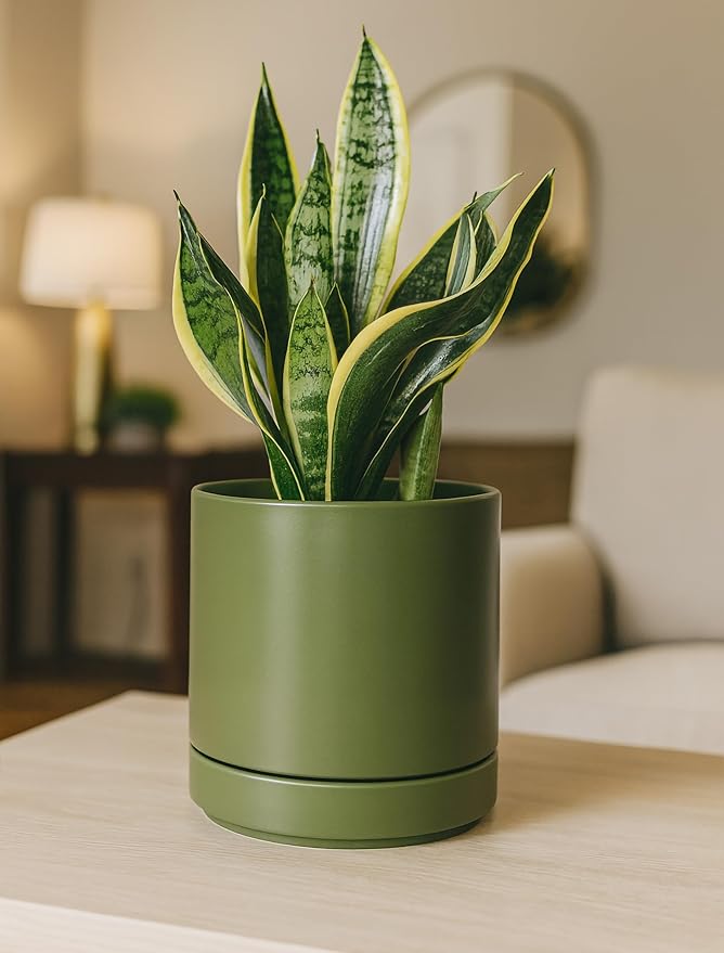 D'vine Dev Set of 2 Plants Pots, 6.5 Inch Ceramic Planter Pot for Plants with Drainage Hole and Saucer, Olive, 94-V-C-J - Bloomnest