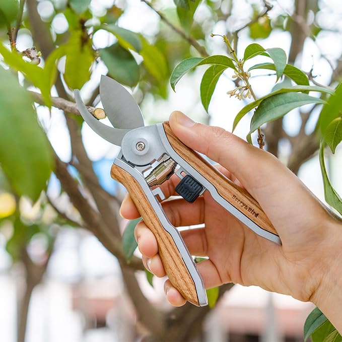 Berry&Bird Mini Pruning Shears for Gardening Curved Blades Hand Pruners with Wooden Handle Garden Scissors Snips Stainless Steel Trimming Small Clippers Bonsai Compact Size Sheaering Tool - Bloomnest