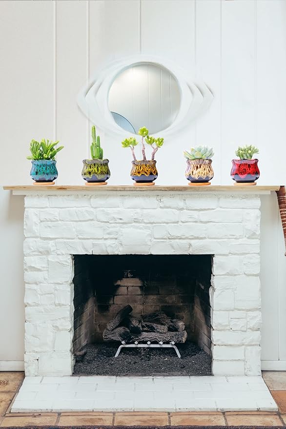 Cute Ceramic Succulent Garden Pots, Planter with Drainage and Attached Saucer, Set of 5 -Plants Not Included (Fambe) - Bloomnest