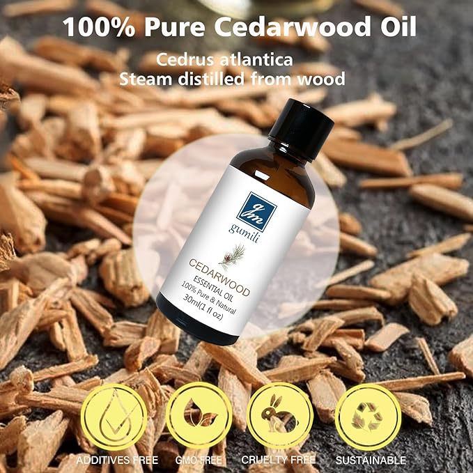 Cedarwood Essential Oil 1 Oz, 100% Pure Natural Cedarwood Oil, Aromatherapy Essential Oils for Diffuser, Skin, Hair, Candle, DIY Body Care - Bloomnest