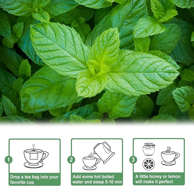 TEARELAE - Spearmint Tea - 1.5g x 50 Count - 100% Pure Spearmint Leaves - Non-GMO - Naturally Caffeine-free Herbal Tea - Support Digestion & Natural Breath Freshener - Bloomnest