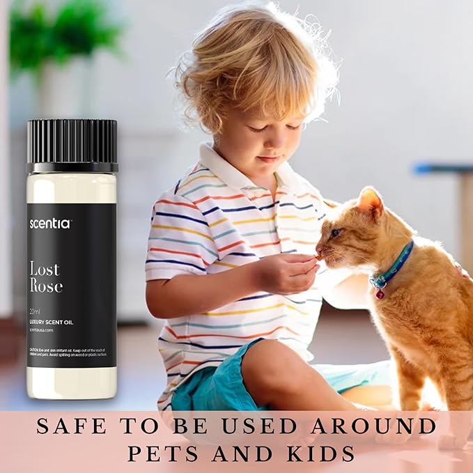 Scentia Hotel Diffuser Oil Inspired by Fairmont Hotel Scent - 20 mL 0.67 fl oz - Fragrance Oil Blend Rose, Oud Wood & Clove Notes for Aromatherapy Diffusers and Humidifiers - Lost Rose - Bloomnest