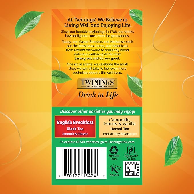 Twinings Irish Breakfast Black Tea Individually Wrapped Bags, 20 Count (Pack of 6), Flavourful, Robust Black Tea, Caffeinated, Enjoy Hot or Iced, 120 Teabags - Bloomnest
