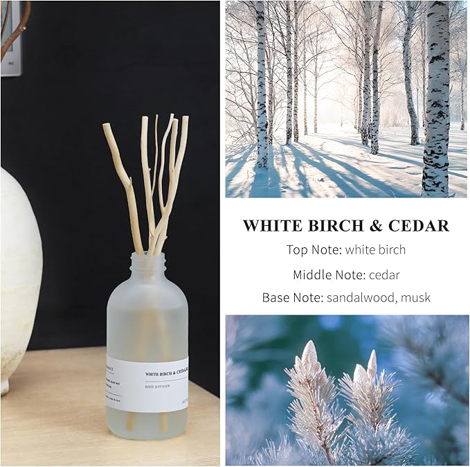 White Birch & Cedar Reed Diffuser, 7.4oz(220ml) Large Bottle Essential Oils, Scented Oil Refill for Waterless Diffuser, Air Freshener for Bathroom with Willow Branches Decor (1-Pack) AEETEEKHOMEFRAGRANCE