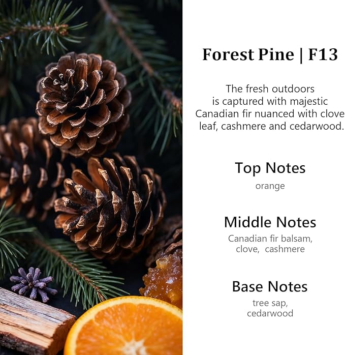 HoogaLife Car Air Freshener Diffuser 2 Pack Hanging Air Freshener Diffuser - Forest Pine Fragrance Oil Air D iffuser for Car, 45+ Days Long Lasting Fragrance Made in USA (F13) - Bloomnest