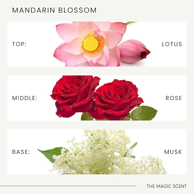 The Magic Scent Mandarin Blossom Diffuser Oil - Hotel & Home Luxury Scents Inspired by St. Regis Hotel, Maldives - Diffuser Oil Scents for Home Designed for Use in All Diffusers - 4 fl oz, 120 mL - Bloomnest