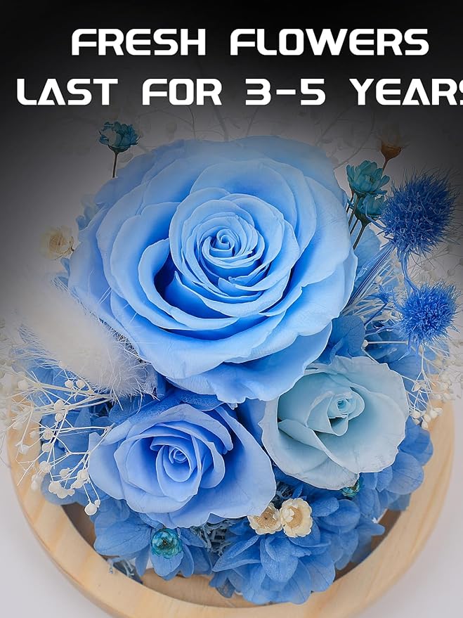 FIACO Preserved Rose Birthday Gift for Women Forever Fresh Flowers for Prime Delivery Gift for Mom Grandma Wife Valentines Mothers Day Christmas Anniversary Eternal Roses in Glass Dome - Bloomnest