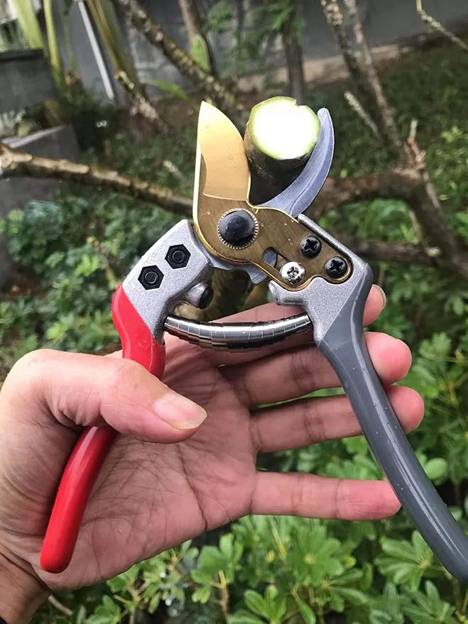 Garden Shears, Japanese labor-saving Garden Scissors, Pruning Shears and Garden Secateurs for Woman and arthritis weak, Professional Branch scissors(Red-grey) - Bloomnest