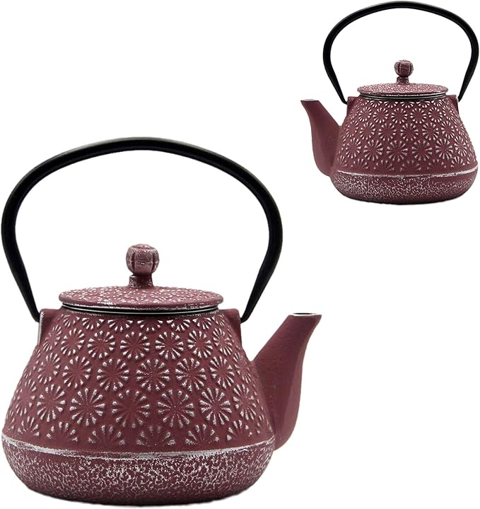 Cast Iron Teapot, 20.3oz Small, Enameled Interior, Stainless Steel Infuser for Loose Tea (Pink Gerbera Pattern) - Bloomnest