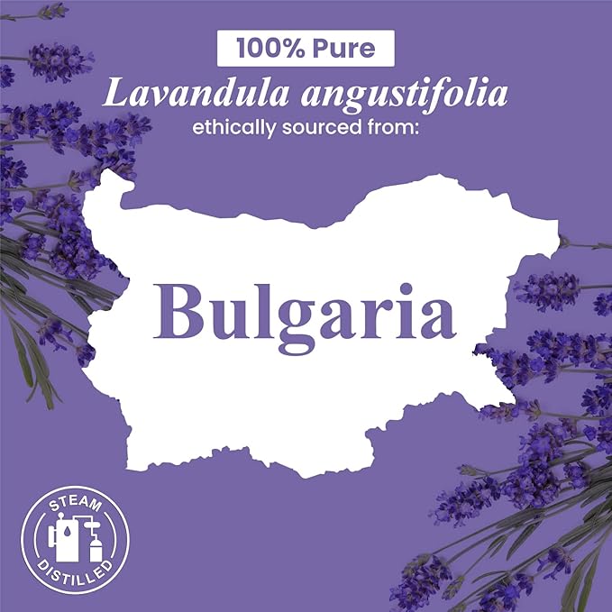 Handcraft Blends Lavender Essential Oil – 0.33 Fl Oz – 100% Pure and Natural – Premium Grade Essential Oil for Diffuser and Aromatherapy, Skin, Massage, Candle and Soap Making Fragrance - Bloomnest