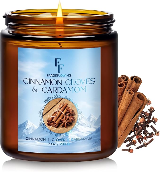 Winter Candle, Cinnamon Cloves Scented Candles for Home, Holiday Candles Natural Soy Candle, Aromatherapy Candle 7 oz Jar Candles Winter Gifts for Women Men - Bloomnest